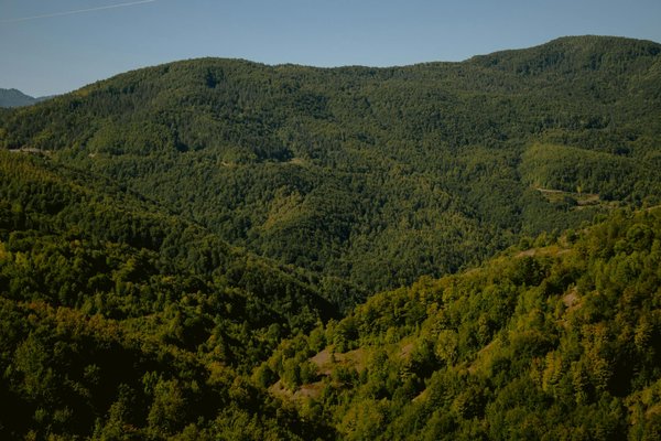 Inspirez votre vie avec le blog de Mam'zelle Sophia